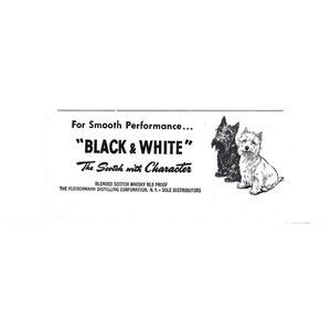 Black & White Scotch Whisky ADVERT Scottish Terrier Dog 1950s Vintage Print Ad